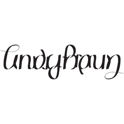 ANDY BRAUN Logo